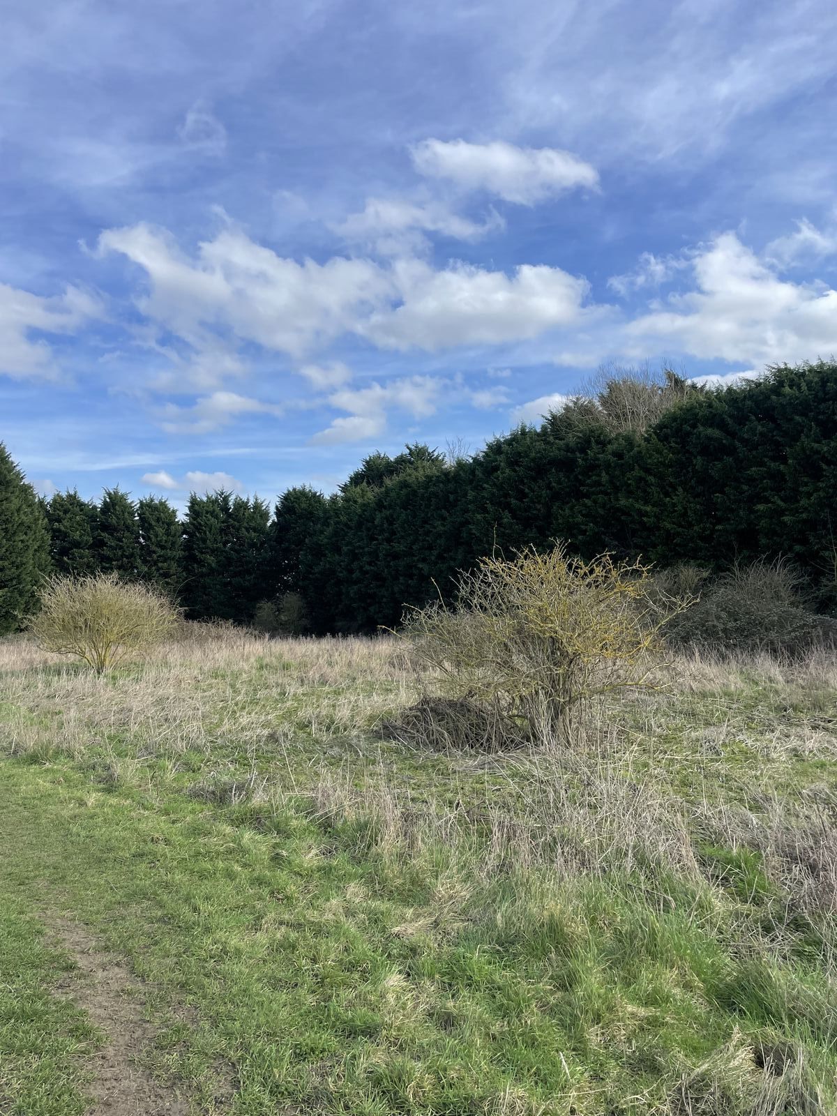 Site viewing for potential new five-unit residential development